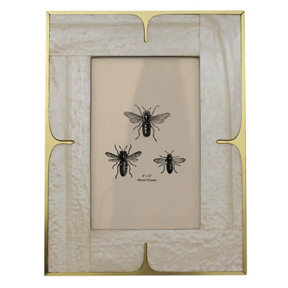 Mother of Pearl Resin and Brass Frame
