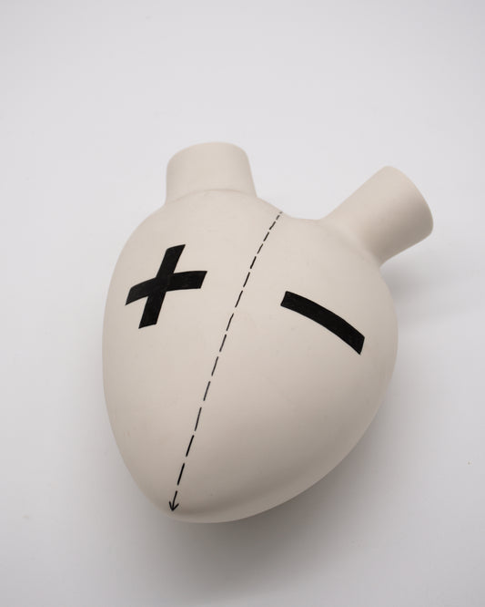 Ceramic Heart Wall Mounted Vase - Plus Minus
