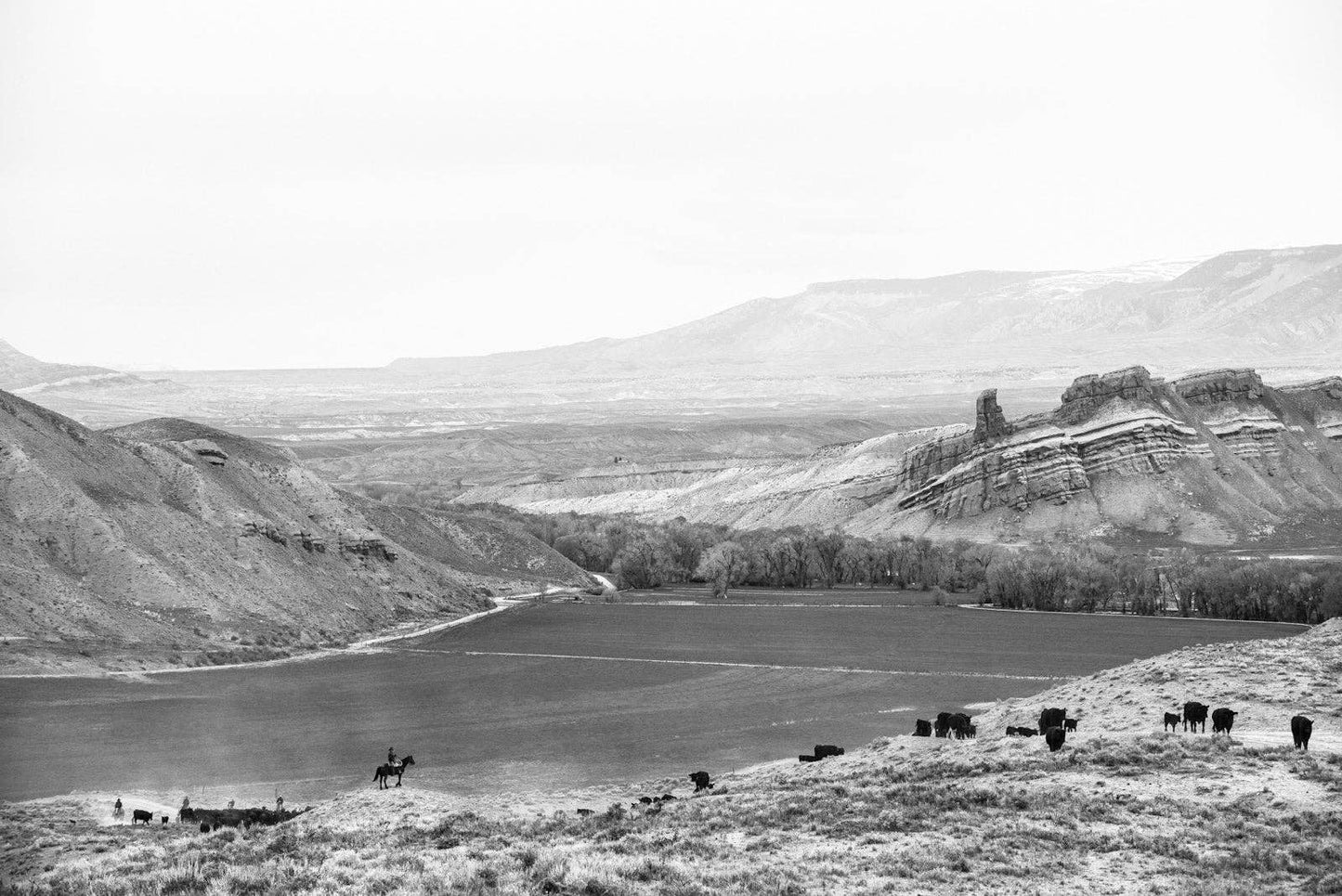 A Ranch Year