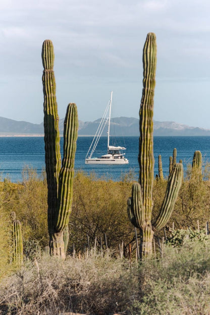 Sailing the Seas Vol. 2: Grand Maritime Adventures